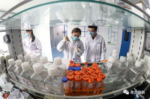 青島企業創新突破 三款新冠檢測試劑通過巴西權威認證
